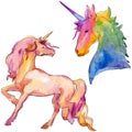 Cute unicorn horse. Fairytale children sweet dream. Rainbow animal horn character. Isolated illustration element.