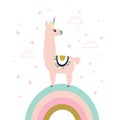 Cute unicorn llama alpaca. Vector illustration