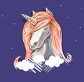 Cute unicorn portrait with beautiful rainbow mane. Colorful print horse design art illustration pony sketch.