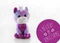 Cute Unicorn Toy with text