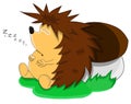 Cute unusual sleeping vector cartoon hedgehog