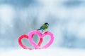 Valentine card with bird tit stands at the symbolic frame of love in the form of a pink and red heart