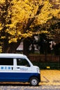 Cute van car under autumn yellow ginkgo tree - Jingu gaien avanue