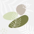 Cute vector abstract background with blots, dots and silhouettes of tropical palm leaves