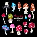 Cute vector amanita fungi mushroom set. Colorful collection of doodle illustration isolated on black background. Autumn harvest Royalty Free Stock Photo