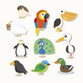 Cute vector bird set