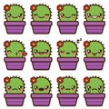 Cute vector cactus emoticons