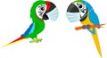 Cute Vector cartoon blue-and-yellow macaw parrot and green Military Macaw ara with mask