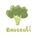 Cute Vector Cartoon Broccoli Illustration. Fresh vegetable isolated on white background used for magazine, book, poster Royalty Free Stock Photo