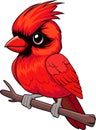 Cute Vector cartoon Red Male Northern Cardinal sticker Royalty Free Stock Photo