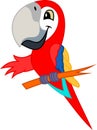 Cute Vector cartoon red scarlet Macaw ara parrot