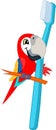 Cute Vector cartoon red scarlet Macaw ara parrot with toothbrush