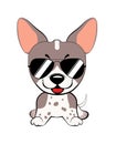 Cute vector cool dog, dog American Naked Terrier. in sunglasses