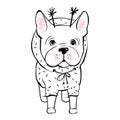 Cute vector dog in winter clothes. Fashion French bulldog puppy. Royalty Free Stock Photo