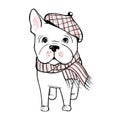 Cute vector dog in winter clothes. Fashion French bulldog puppy. Royalty Free Stock Photo