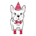 Cute vector dog in winter clothes. Fashion French bulldog puppy.