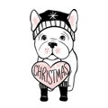 Cute vector dog in winter clothes. Fashion French bulldog puppy. Stylish animals. Clothing for pets.