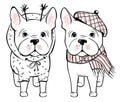 Cute vector dog in winter clothes. Fashion French bulldog puppy. Royalty Free Stock Photo