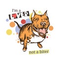 Cute vector drawing of amstaff with funny lettering.