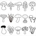 Cute vector of fungi mushroom for coloring. Set of doodle illustration isolated on white background