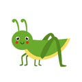Cute vector grasshopper isolated on white background. Royalty Free Stock Photo