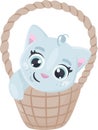Cute vector kitten sitting in a basket Royalty Free Stock Photo