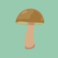 Cute mushroom drawing bay bolete