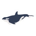 Cute vector ocean illustration with killer whale.Underwater cartoon creatures.Marine animals.Cute childrens design for