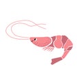 Cute vector ocean illustration with shrimp.Underwater cartoon creatures.Marine animals.Cute childrens design for fabric