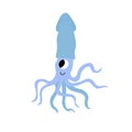 Cute vector ocean illustration with squid.Underwater cartoon creatures.Marine animals.Cute childrens design for fabric