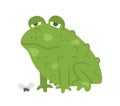 Cute vector sitting green toad with fly. Halloween character icon. Autumn all saints eve illustration with scary animal. Samhain Royalty Free Stock Photo