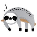 Cute vector sleeping sloth bear animal