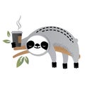 Cute vector sloth bear animal with a cup of coffee
