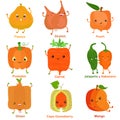 Cute vector of square shaped smiling fruit, vegetable with happy face in yellow orange color Royalty Free Stock Photo
