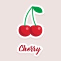 Cute vector sticker fruit cherry icons. Flat style