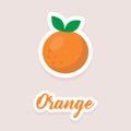 Cute vector sticker fruit orange icons. Flat style