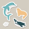 Cute vector stickers set with dolphin, walrus, penguin, corals.Underwater cartoon creatures.Marine animals.Cute ocean