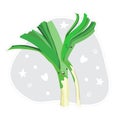 Cute vegetables characters kawaii for kids. Funny Leek. Flat cartoon, isolated, colorful vector illustration Royalty Free Stock Photo