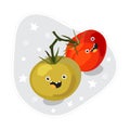 Cute vegetables characters kawaii for kids. Funny tomatoes. Flat cartoon, isolated, colorful vector illustration Royalty Free Stock Photo