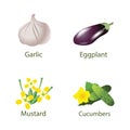Cute vegetables, Gardening set, vector flat icons.