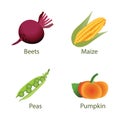 Cute vegetables, Gardening set, vector flat icons.