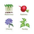 Cute vegetables, Gardening set, vector flat icons.