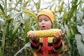 Cute very surprised child in colorful sweater with ripe corn cob on yellow autumn corn field. Fall season concept