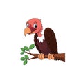 Cute vulture bird cartoon on the tree branch Royalty Free Stock Photo