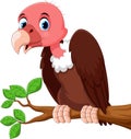 Cute vulture bird cartoon on the tree branch Royalty Free Stock Photo