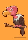 Cute Vulture Bird Royalty Free Stock Photo