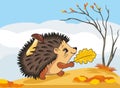Cute walking hedgehog against the background of an autumn landscape