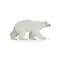 Cute walking polar bear. Polar animal cartoon illustration. Flat style design. Best for kid education. Vector drawing Royalty Free Stock Photo