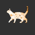 Cute walking winter cat, in white and orange colors over black background.