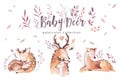 Cute watercolor baby deer animal , nursery isolated illustration for children clothing, pattern. WatercolorHand drawn Royalty Free Stock Photo